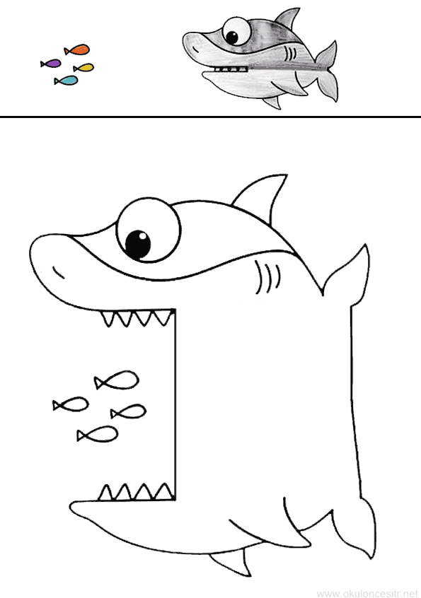 Köpekbalığı Kalıbı