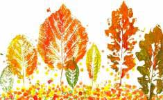 sonbahar etkinlikleri-fall-autumn activities (187)