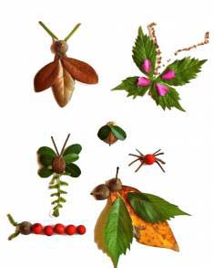 sonbahar etkinlikleri-fall-autumn activities (7)