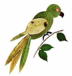 sonbahar etkinlikleri-fall-autumn activities (92)