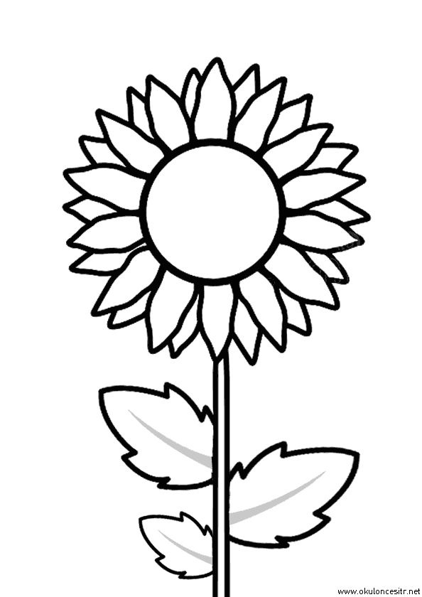 Ayçiçek Boyama Sayfası