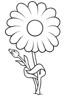 cicek15-boyama-sayfasi