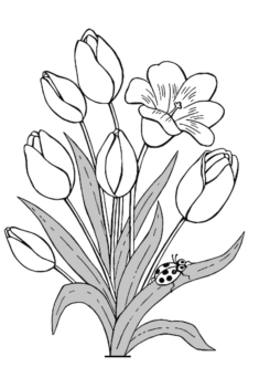 cicek27-boyama-sayfasi