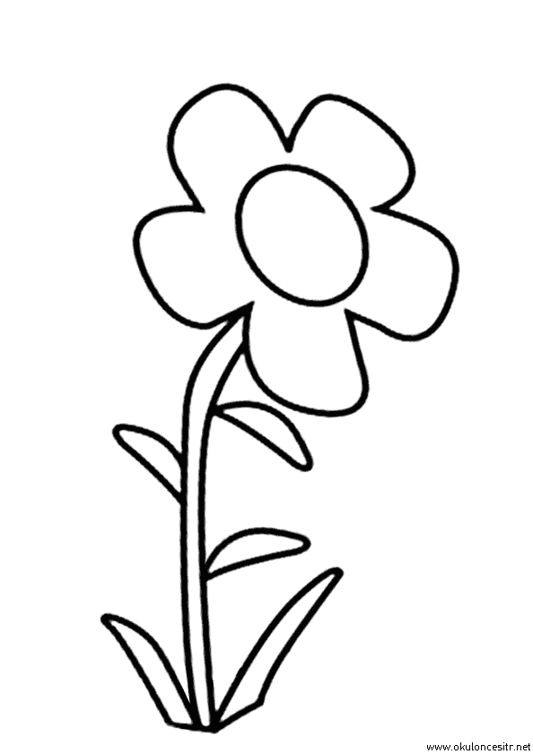 Çiçek Boyama Sayfası