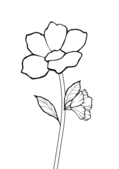 cicek7-boyama-sayfasi