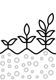 cicekler5-boyama-sayfasi