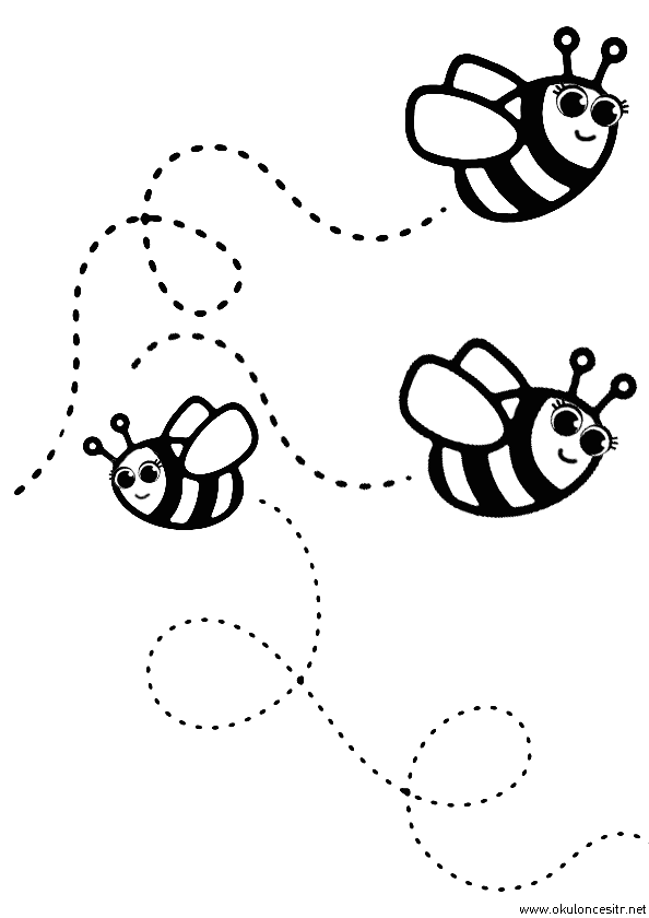 Arı Boyama