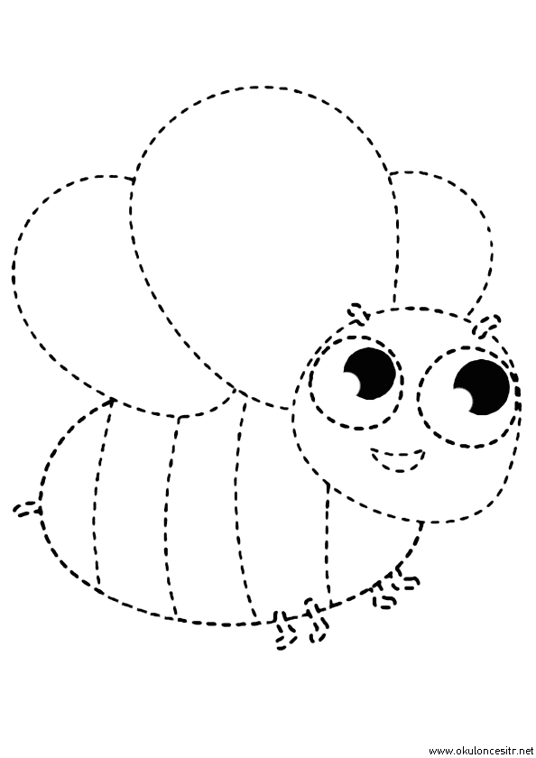 Arı Çizgi Çalışması