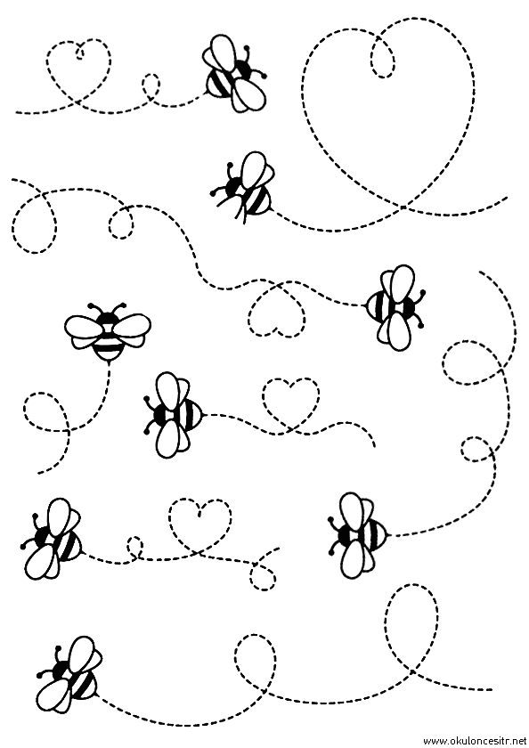 Arı Çizgi Çalışması