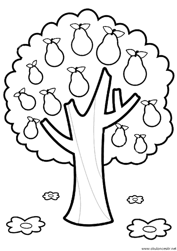 Ağaç Boyama