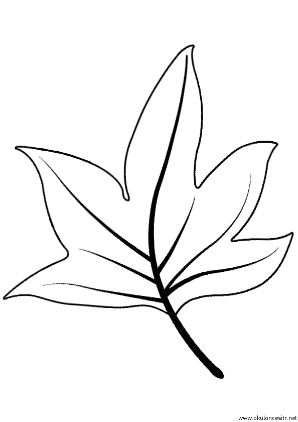 Sonbahar Boyama Sayfası