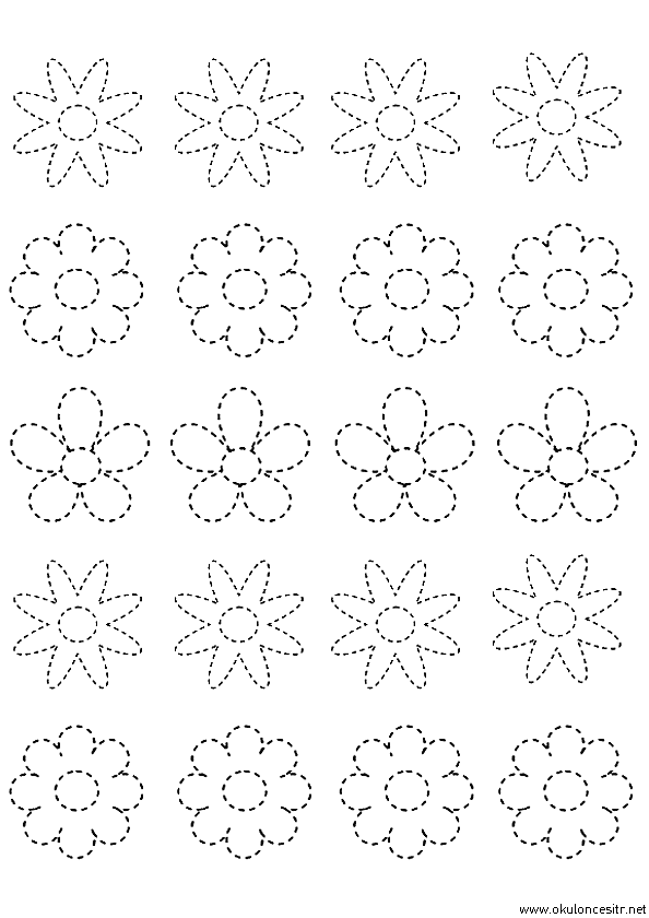 Çizgi Çalışma Sayfası