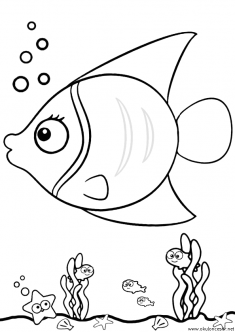 balik-boyama-fish-coloring (17)