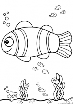 balik-boyama-fish-coloring (21)