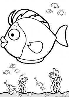 balik-boyama-fish-coloring (28)