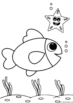 balik-boyama-fish-coloring (3)