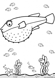 balik-boyama-fish-coloring (30)