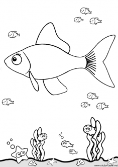 balik-boyama-fish-coloring (36)