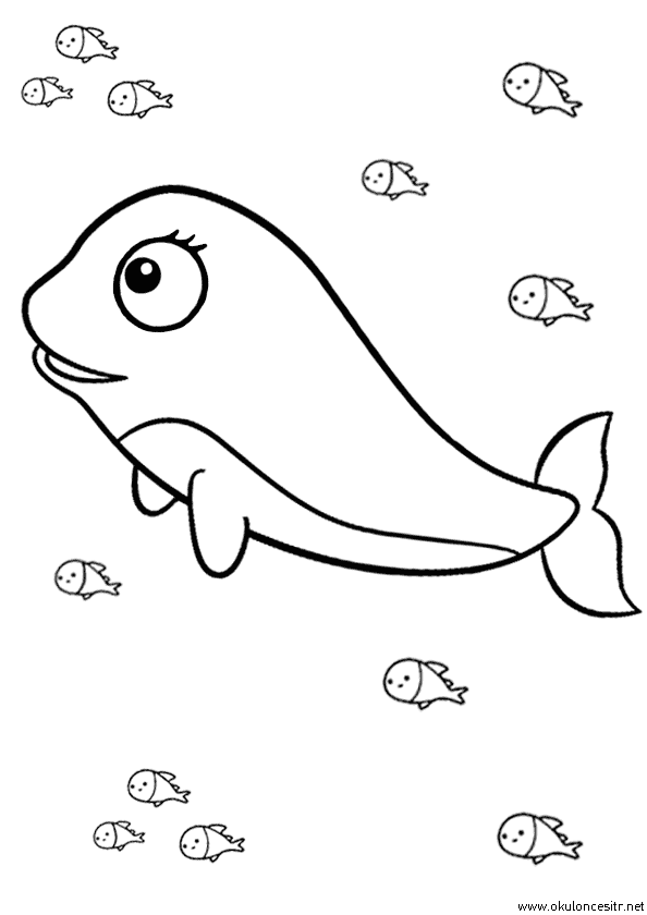 Yunus Balığı Boyama