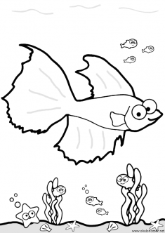 balik-boyama-fish-coloring (46)