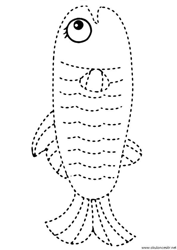 Balık Çizgi Çalışması