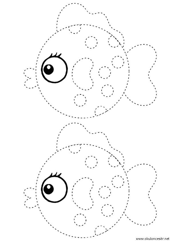 Balık Çizgi Çalışması