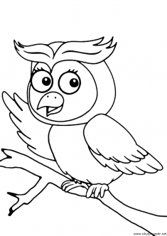 baykus-boyama-owl-coloring-page (16)