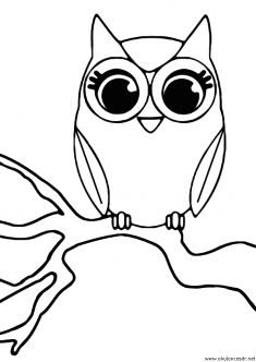 baykus-boyama-owl-coloring-page (2)