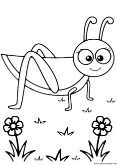 cekirge-boyama-grasshopper-coloring-page (9)