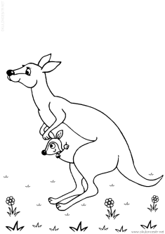 kanguru-boyama-sayfasi (3)