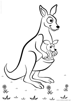 kanguru-boyama-sayfasi (4)