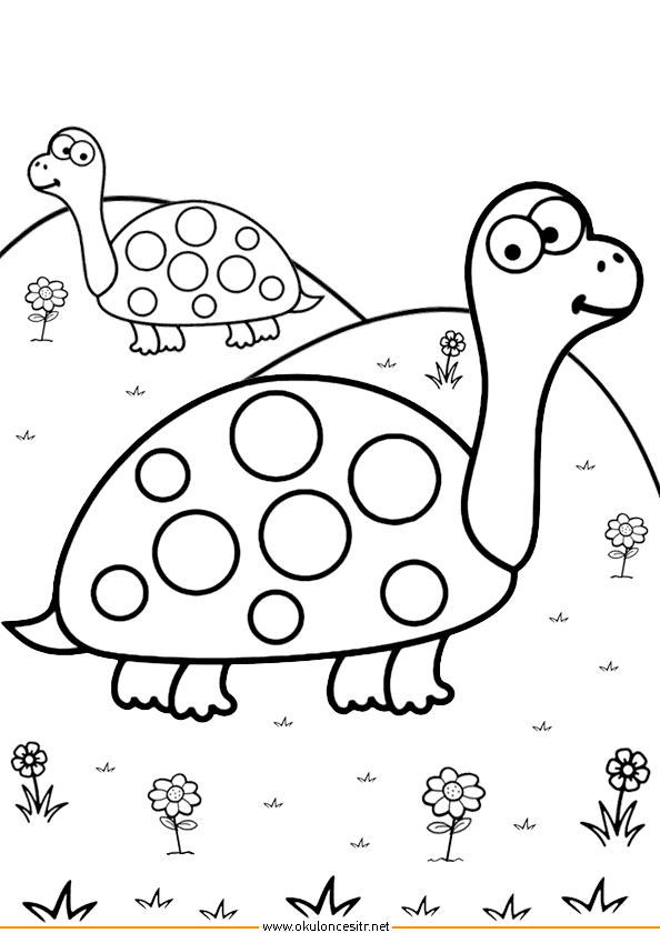 Kaplumbağa Boyama Sayfası