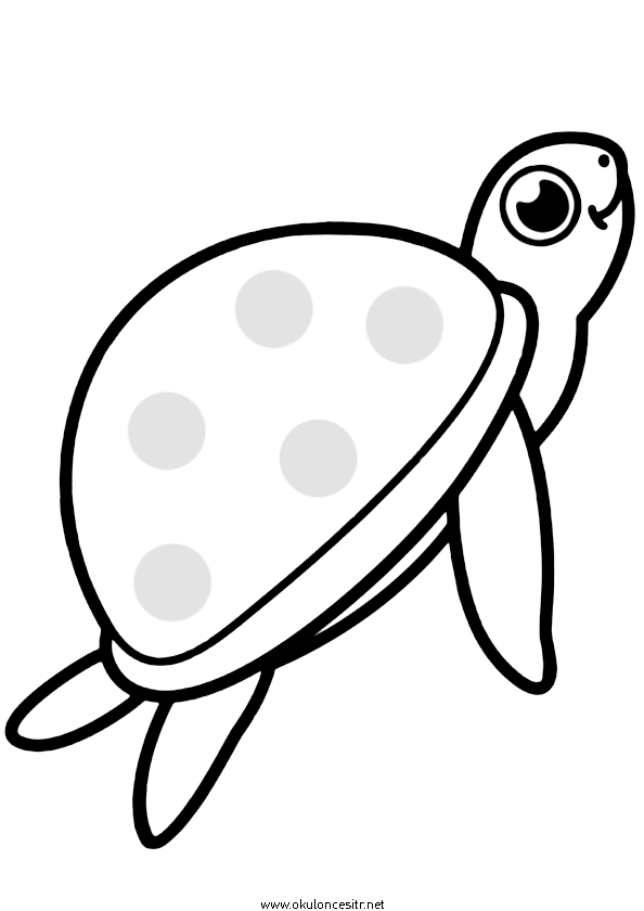 Kaplumbağa Boyama Sayfası