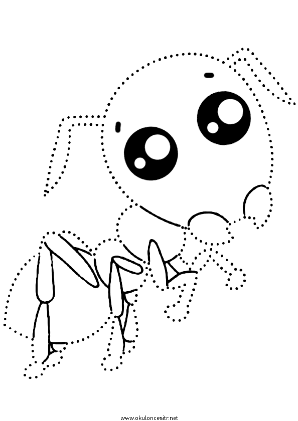 Karınca Çizgi Çalışması