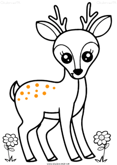 geyik-ceylan-boyama-deer-gazelle-coloring-72