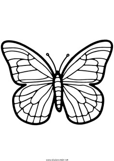 kelebekboyama-butterflycoloring (11)