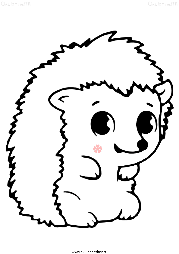 Kirpi Boyama Sayfası