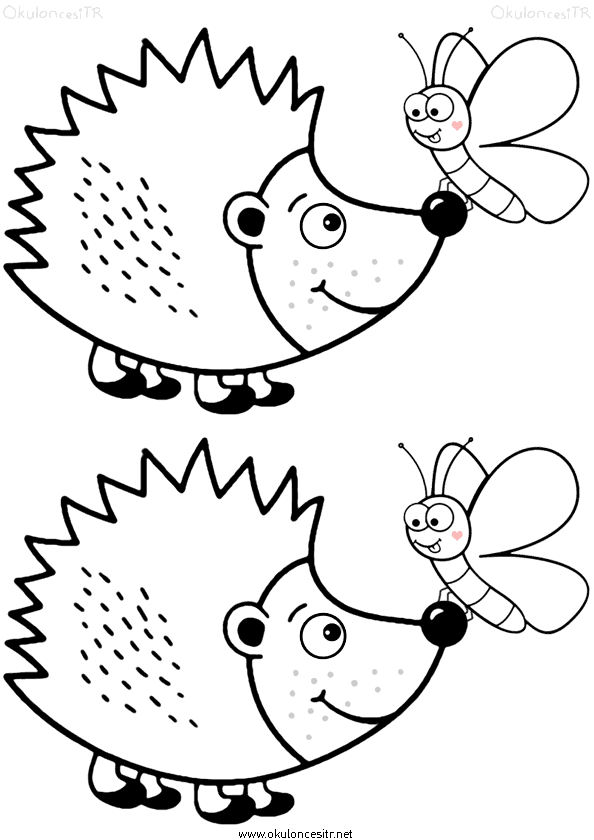 Kirpi Boyama Sayfası