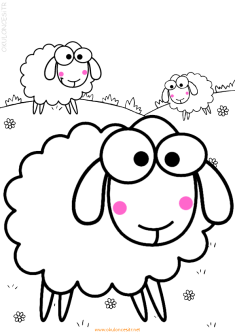 koyunboyama-sheep-coloring
