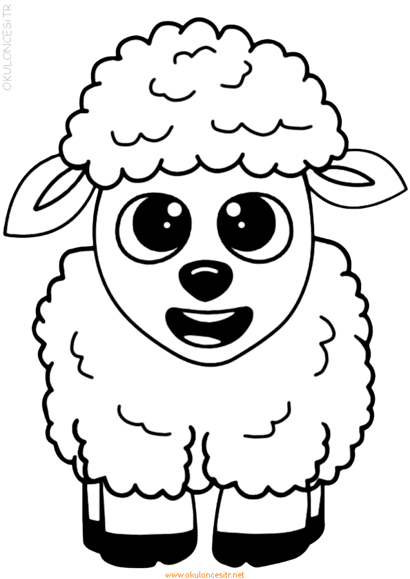 Koyun Boyama Sayfası