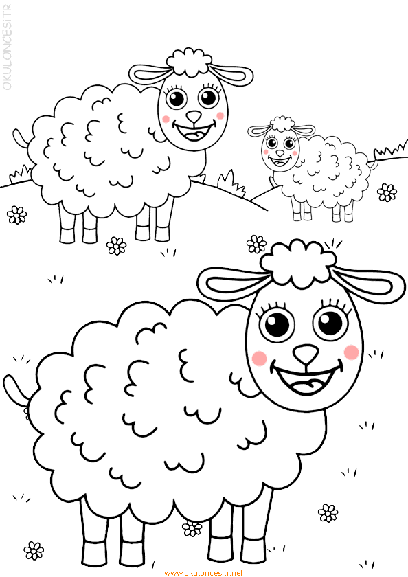 Koyun Boyama Sayfası