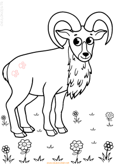 koyunkuzuboyama-sheep-goat-lamb-coloring (18)