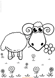 koyunkuzuboyama-sheep-goat-lamb-coloring (25)
