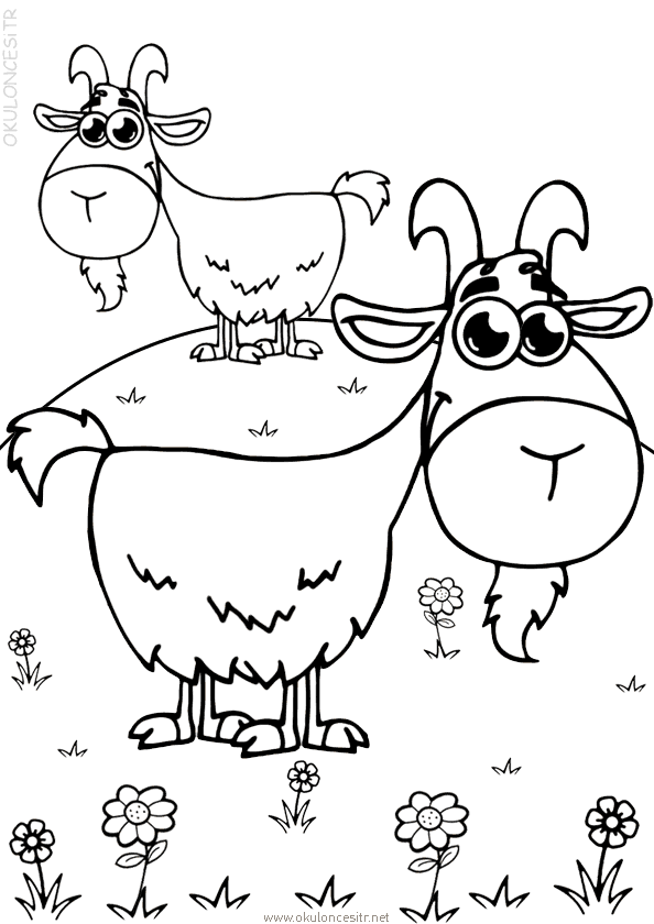 Keçileri Boyama Sayfası
