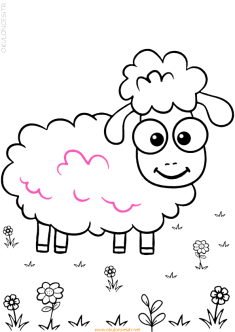 koyunkuzuboyama-sheep-goat-lamb-coloring (42)