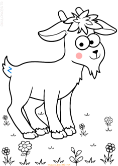 koyunkuzuboyama-sheep-goat-lamb-coloring (50)