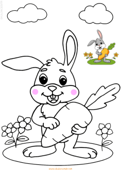 tavsanboyama-rabbit-coloring